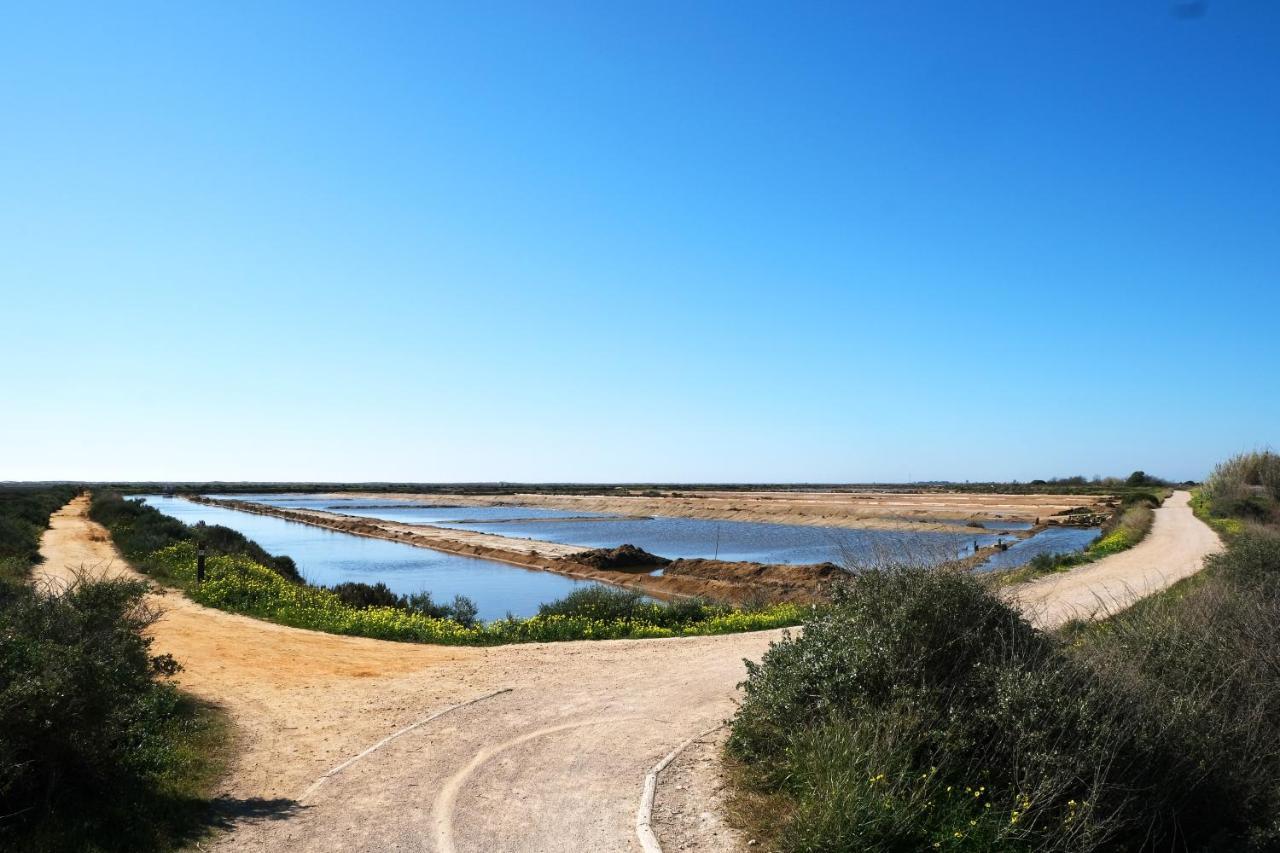 Amazing Windmillhouses Olhao Bagian luar foto